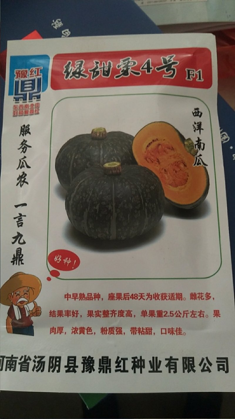 板栗南瓜1~2斤以上扁圆形