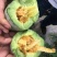 羊角蜜，锦玉羊角蜜，白条羊角蜜