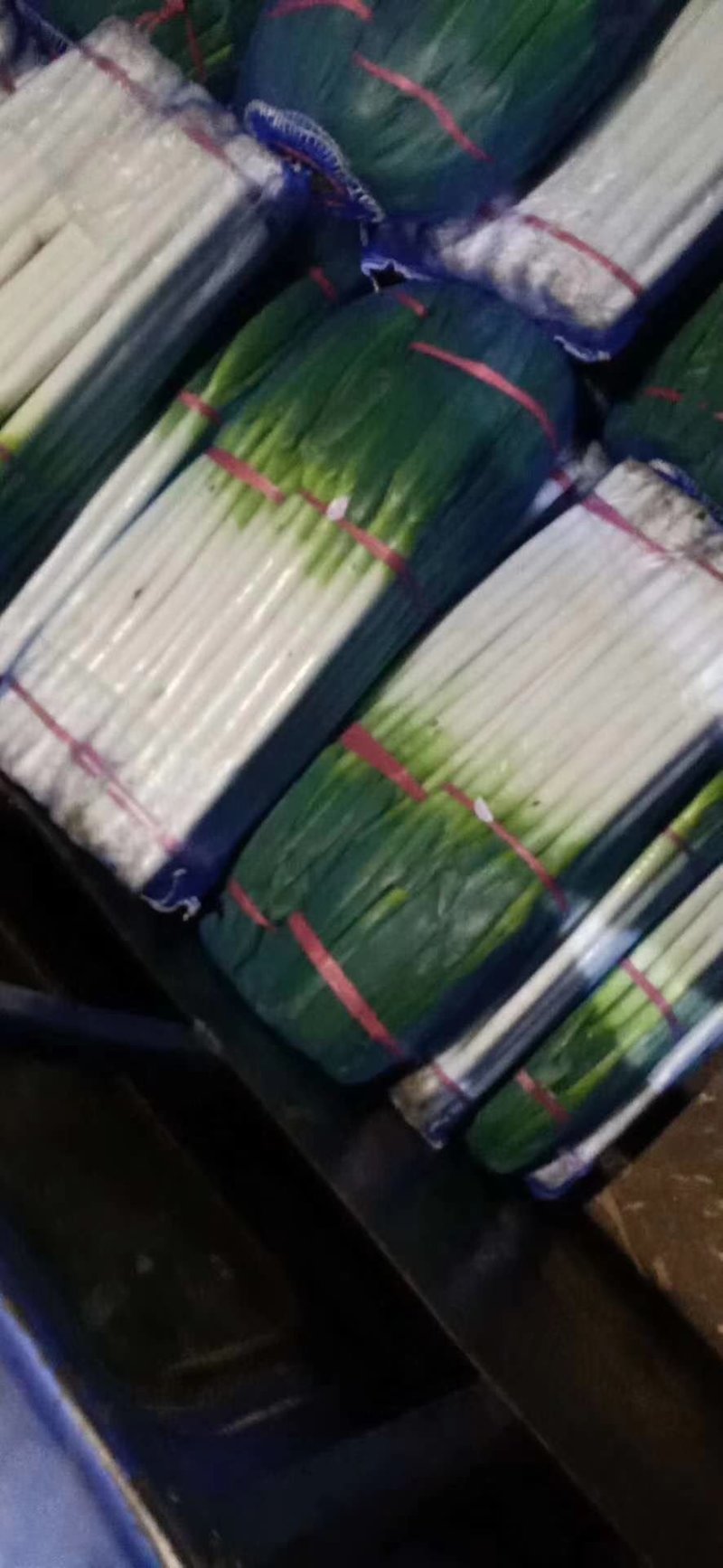 优质铁杆大葱，代发毛葱，通货，加工厂，净葱全国发货(包售后)