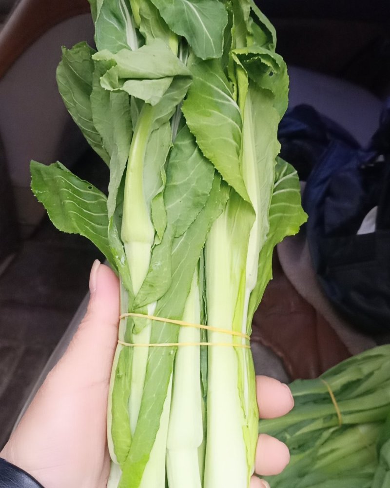 甜心菜苔