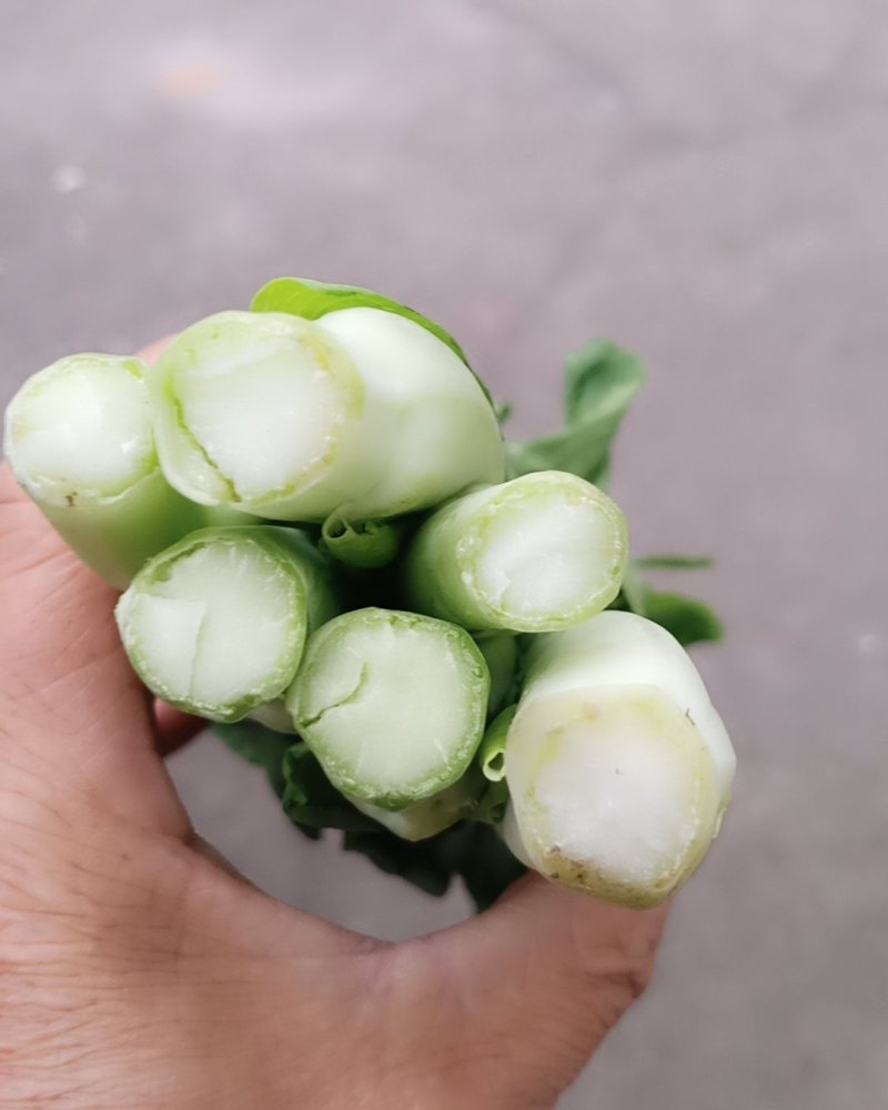 甜心菜苔