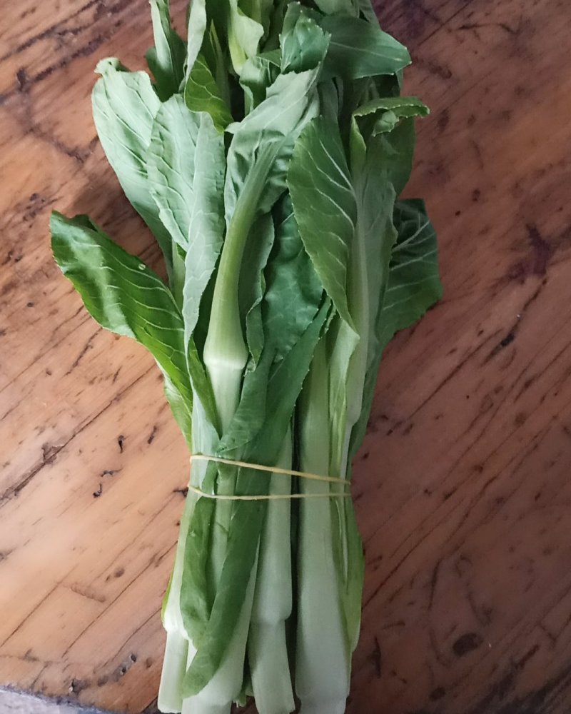 甜心菜苔