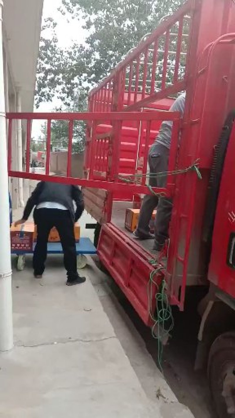 原产地新疆红枣批发跑江湖地摊拼多多货源
