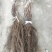 甜蜜蓝宝石葡萄苗晚熟粒子大,天然无核,糖度高可切片晒干