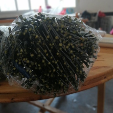 甘平枝条{芽条）现剪现发