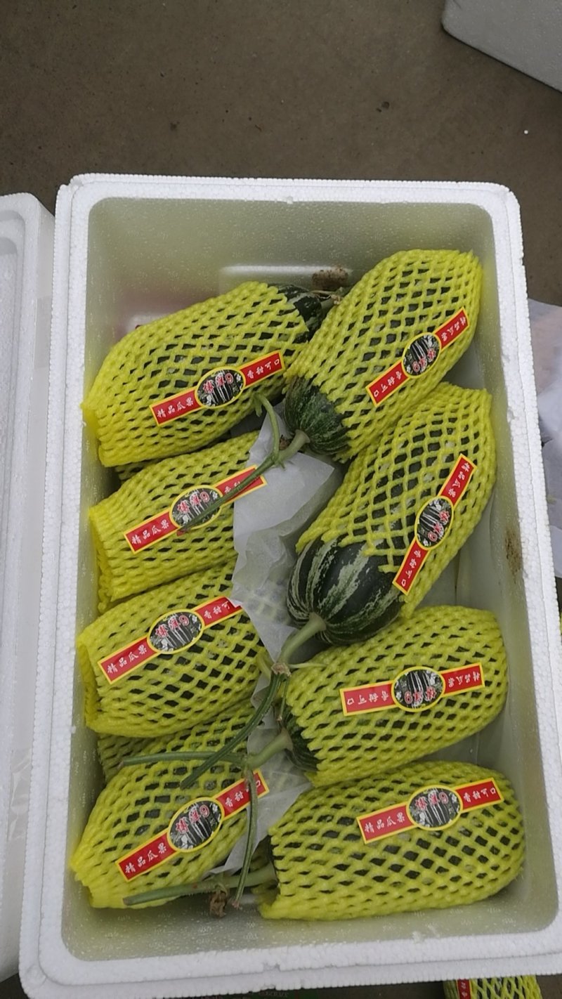 博洋九系列甜瓜，水果佳品甘甜可口食品欢迎光临