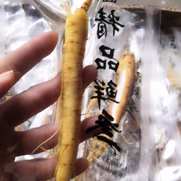 长白山人参鲜人参泡酒鲜参袋装人参批发价格2元一根