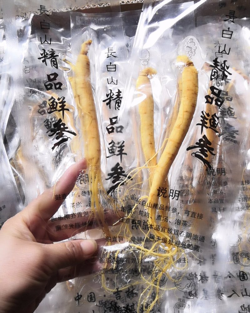 长白山人参鲜人参泡酒鲜参袋装人参批发价格2元一根