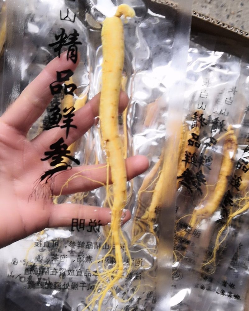 长白山人参鲜人参泡酒鲜参袋装人参批发价格2元一根