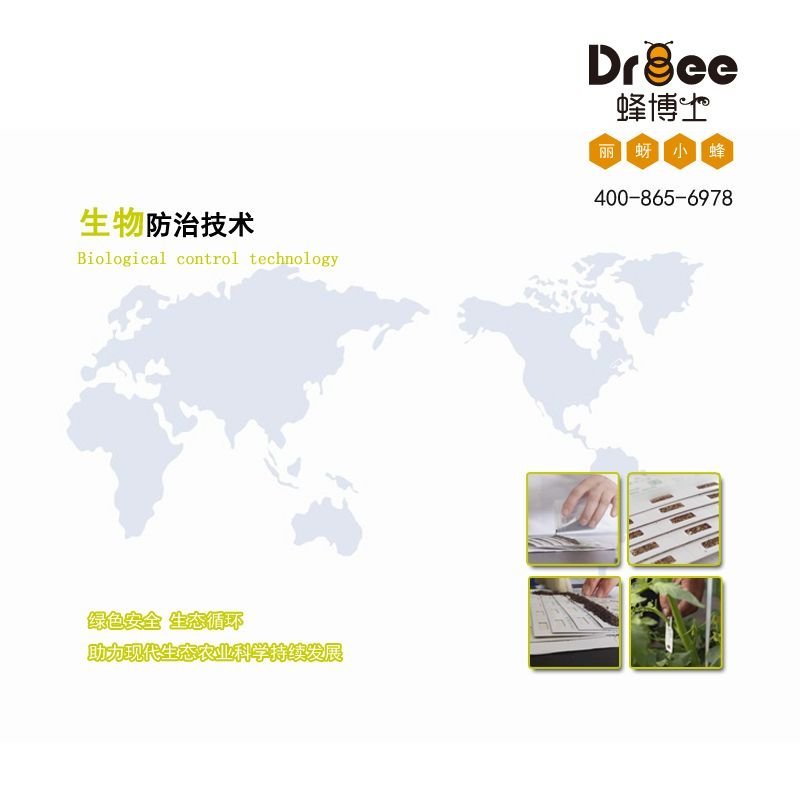 Dr.bee蜂博士丽蚜小蜂白粉虱生物防治天敌