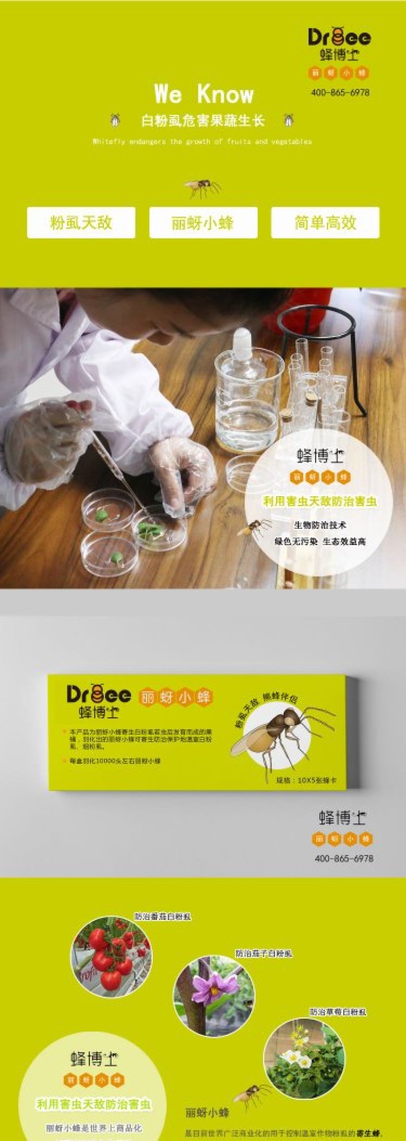Dr.bee蜂博士丽蚜小蜂白粉虱生物防治天敌