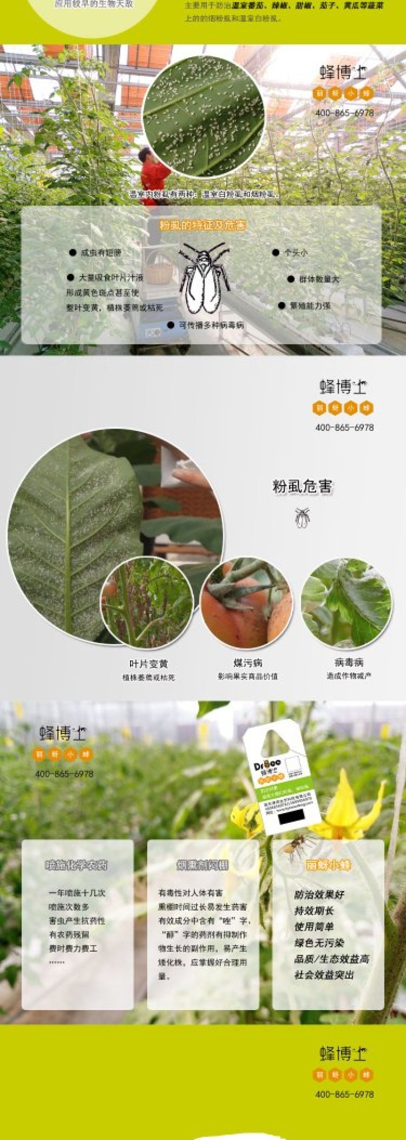 Dr.bee蜂博士丽蚜小蜂白粉虱生物防治天敌