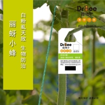 Dr.bee蜂博士丽蚜小蜂白粉虱生物防治天敌