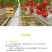 Dr.bee蜂博士丽蚜小蜂白粉虱生物防治天敌