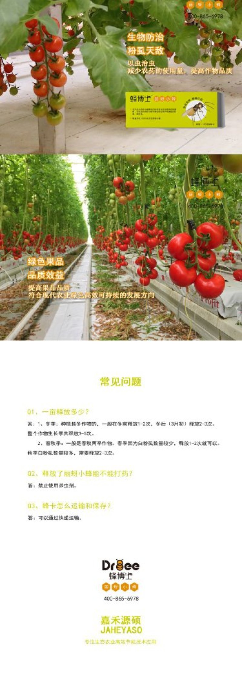 Dr.bee蜂博士丽蚜小蜂白粉虱生物防治天敌