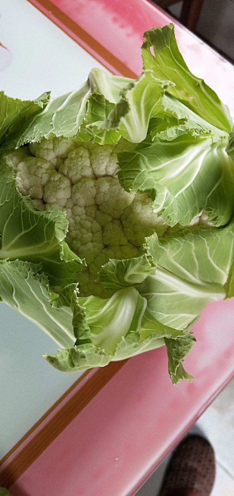 精品有机菜花，现摘现发，崇明岛有机花菜，崇明区花基地直供