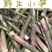 郴州深山小竹笋，上市早，带壳发货，产地直采，量大从优