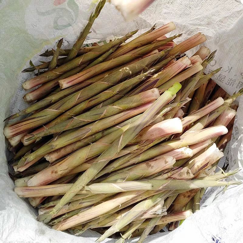 郴州深山小竹笋，上市早，带壳发货，产地直采，量大从优