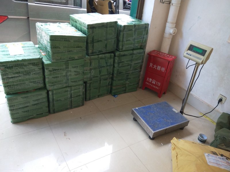 阳荷产地批发直发