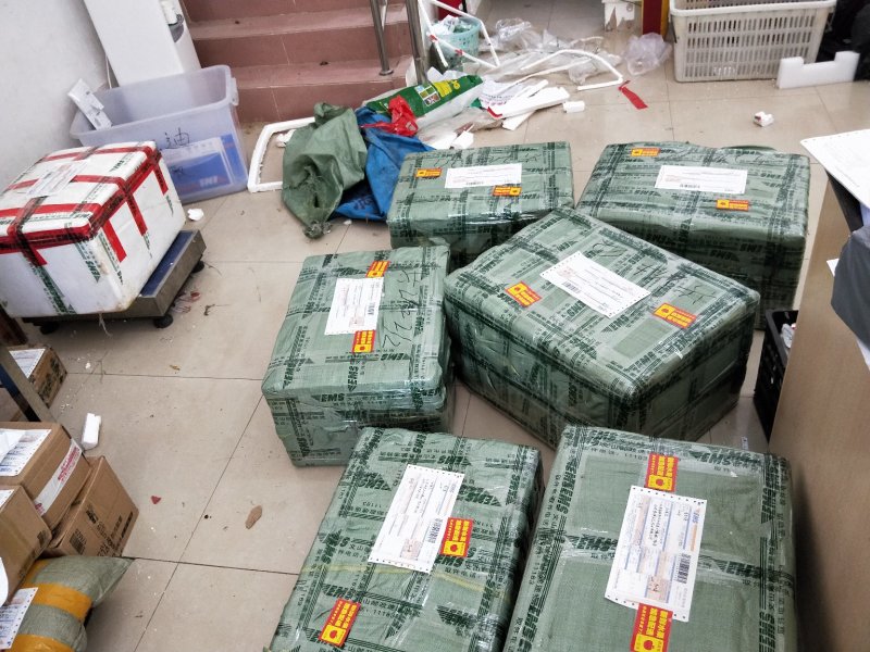 阳荷产地批发直发