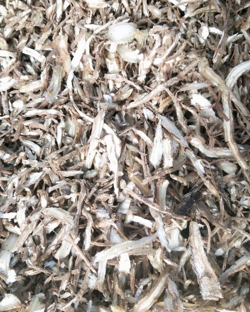 甘肃渭源县精品当归尾子片货量充足价格优惠