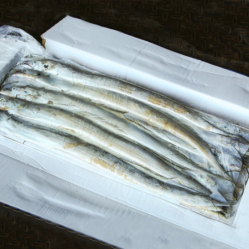 连云港本地优质带鱼小黑眼带鱼