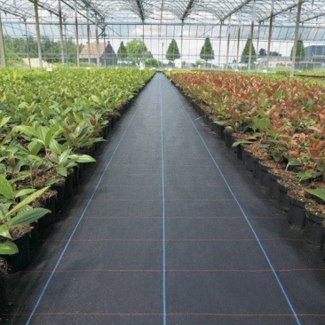 抗老化农用防草布黑色园艺除草布地布大棚果园透气保湿遮草布