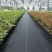 抗老化农用防草布黑色园艺除草布地布大棚果园透气保湿遮草布