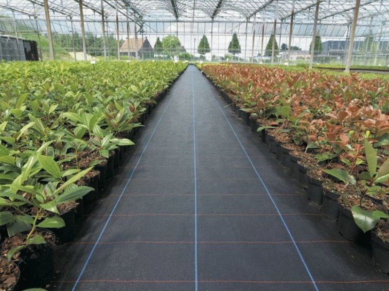 抗老化农用防草布黑色园艺除草布地布大棚果园透气保湿遮草布