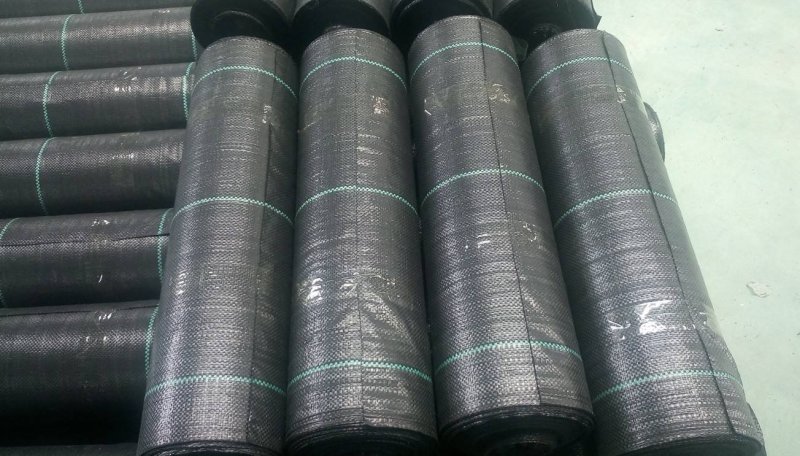 抗老化农用防草布黑色园艺除草布地布大棚果园透气保湿遮草布