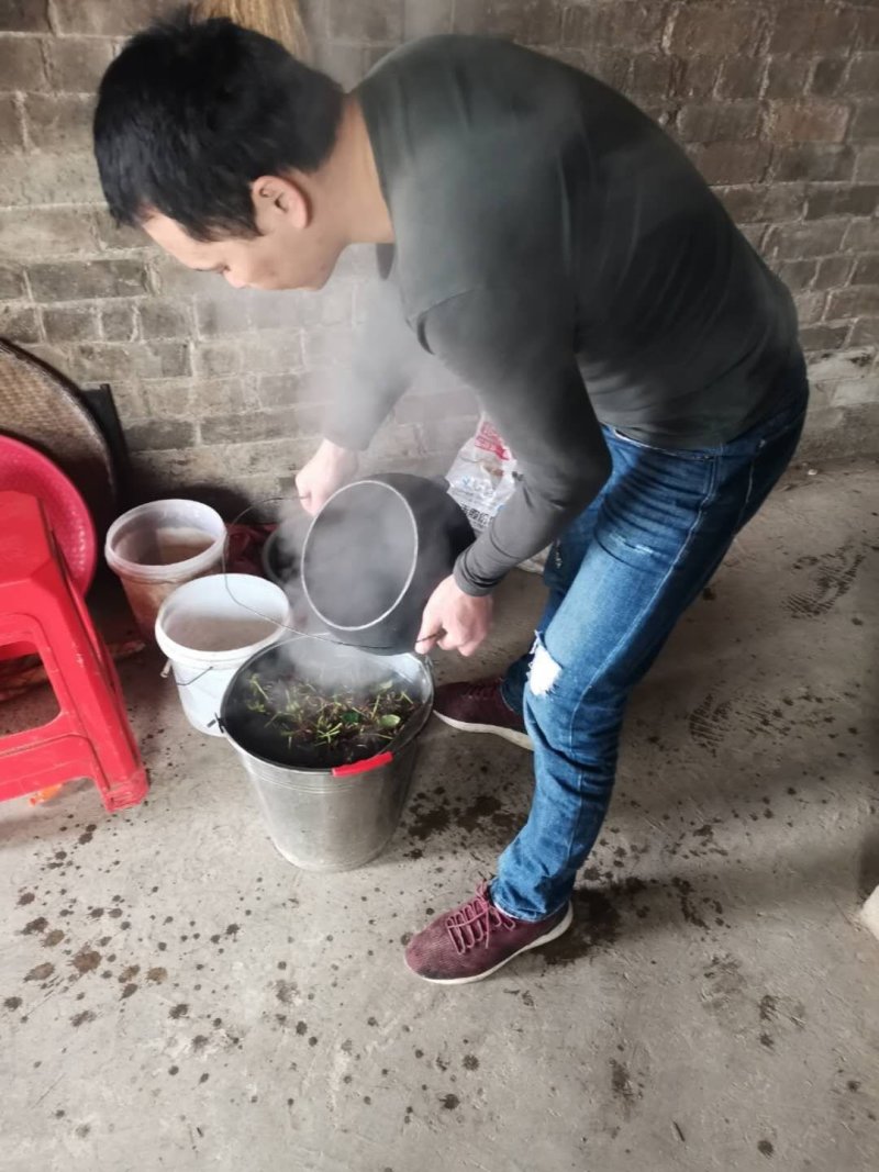 广西八角，最真实的产品照片，最真实的价格，最稳定的产地