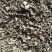 薄荷河南1公斤起批无硫无添加不包邮只做正品
