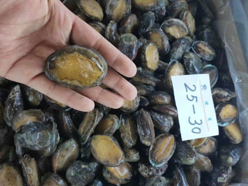 鲍鱼食用，，，，，，，，，一斤30头左右