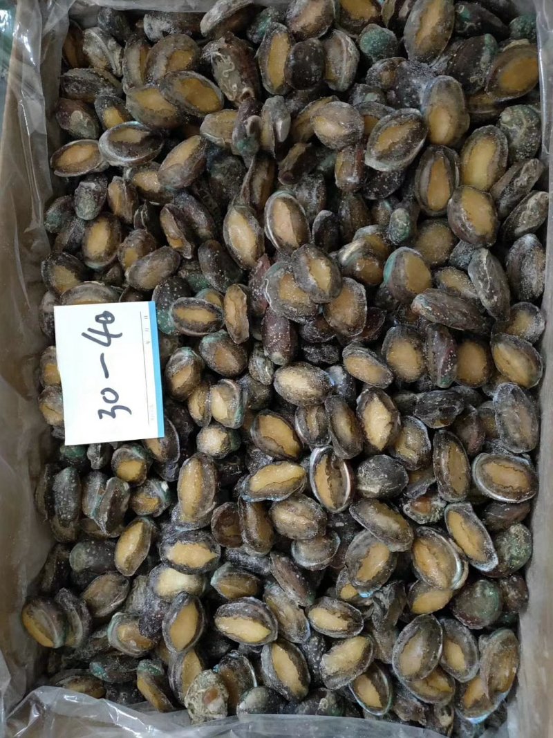 鲍鱼食用，，，，，，，，，一斤30头左右