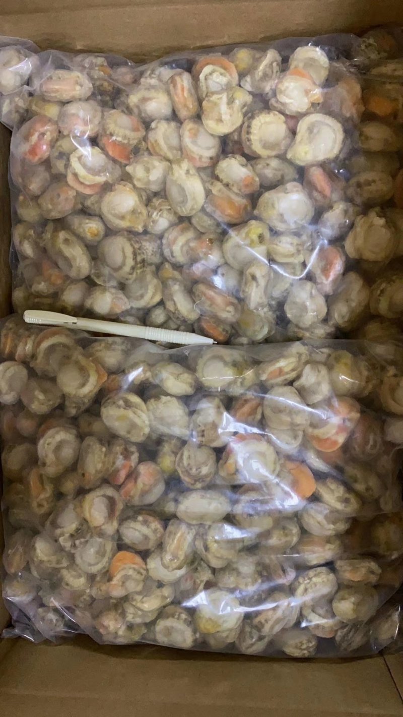 扇贝肉带胃扇贝肉，一件10斤，厂家直销产品