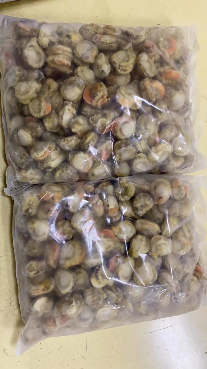 扇贝肉带胃扇贝肉，一件10斤，厂家直销产品