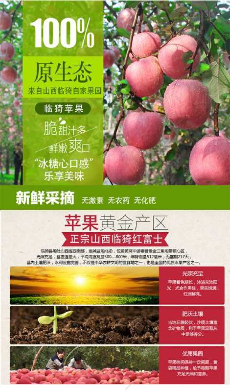 原生态冰糖心红富士苹果产地直发长期供货可以对接市场商超