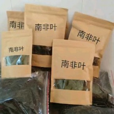 自然晒干的南非叶