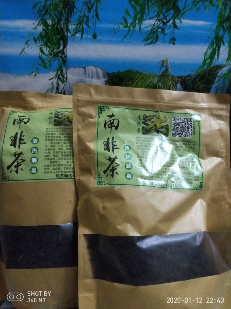 自然晒干的南非叶