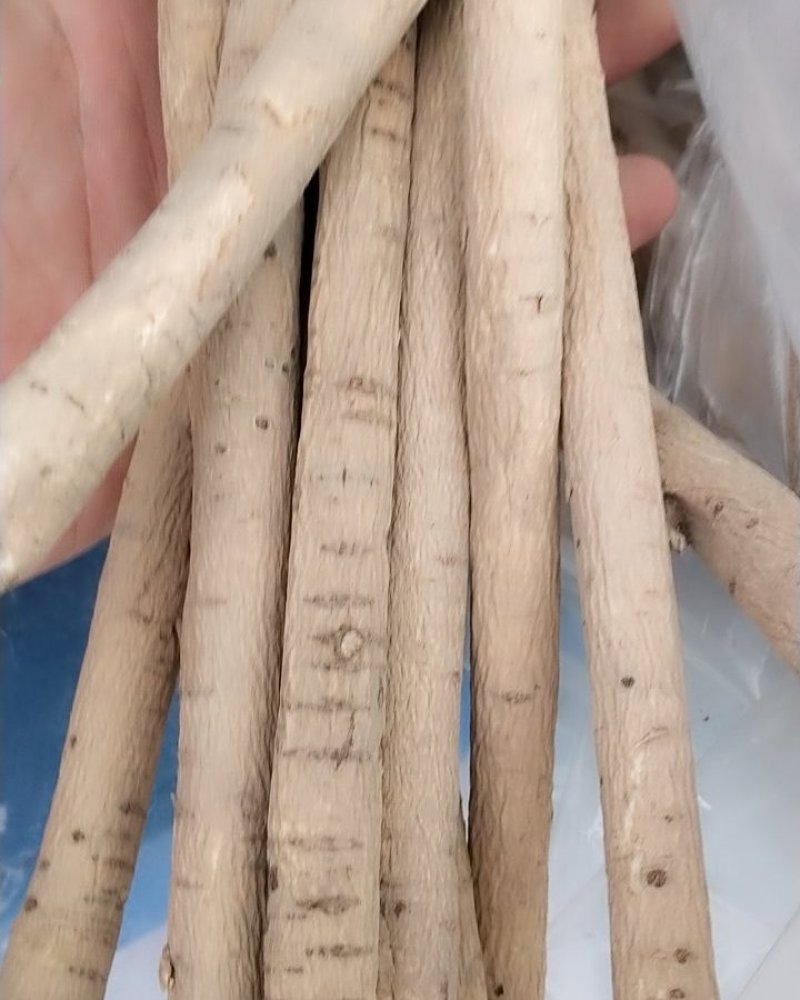 黄芪，正宗甘肃产无硫黄芪干度好，诚信经营！