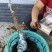 狮子头花椒树苗大红袍花椒苗麻椒树苗篱笆地栽结果南北种植