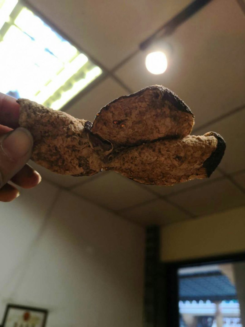 十年老果树陈皮，农家生哂新会大红皮