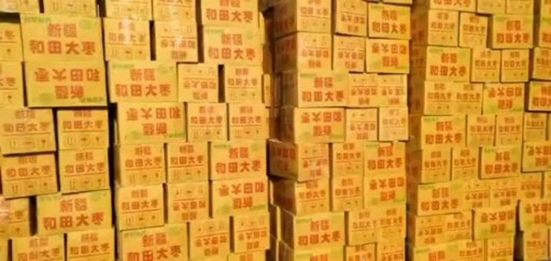 皮皮枣厂家一手货源直供批发保质保量随时发货
