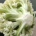 【推荐】菜花散花有机花菜大量供应基地直发货源充足