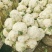 【推荐】菜花散花有机花菜大量供应基地直发货源充足