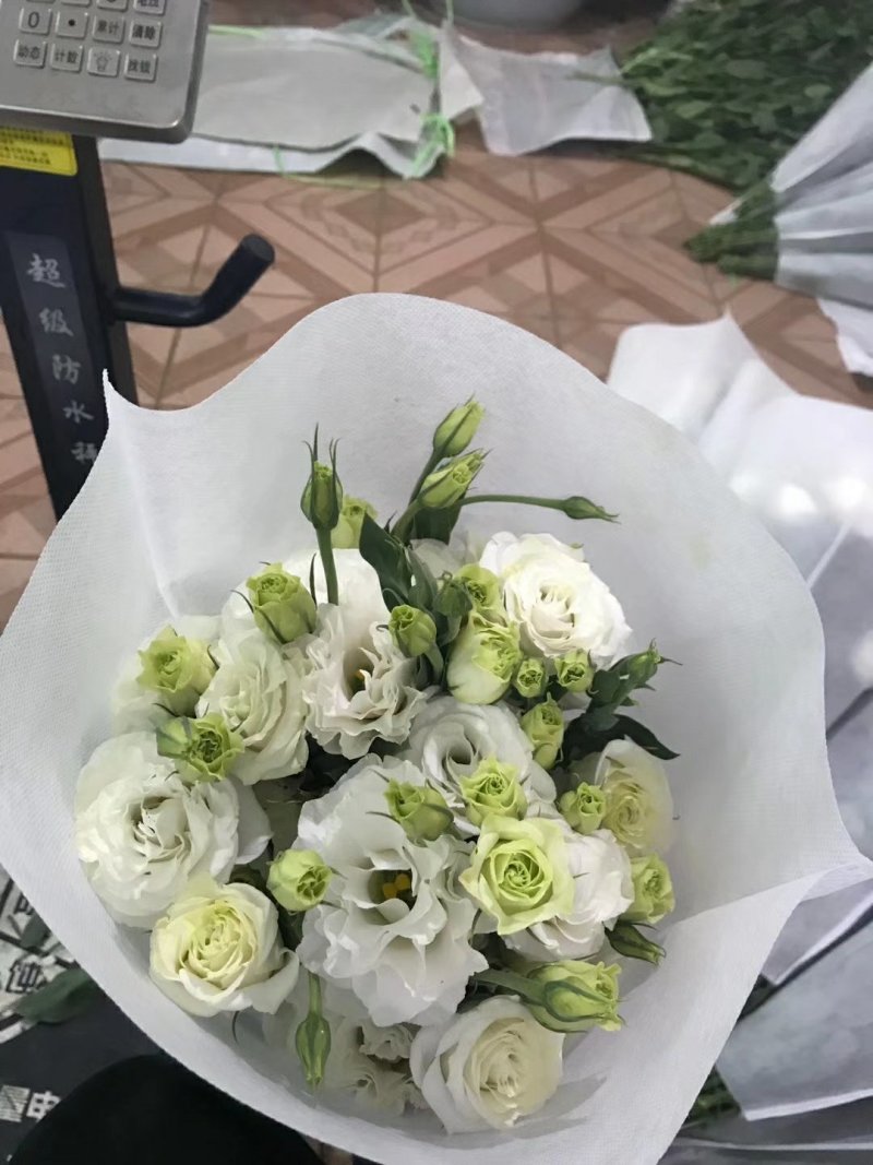 鲜切花批发专区洋桔梗昆明斗南基地直发可视频看货