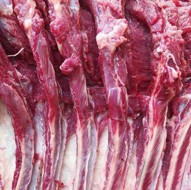 马肉，鲜马肉，现宰马肉，马肉批发