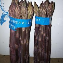 紫芦笋农家新鲜蔬菜龙须菜现摘现发基地直发品质保证