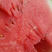 甜王西瓜，广西桂西南部气候好，瓜甜，红，皮薄