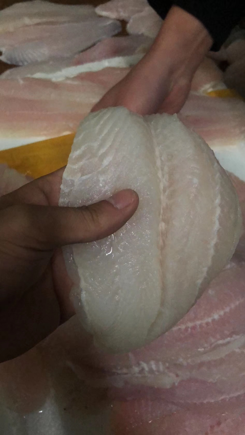 冷冻巴沙鱼柳全规格带皮鱼柳原料板冻